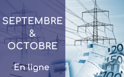 Formation “Système électrique français – acteurs et mécanismes économiques”