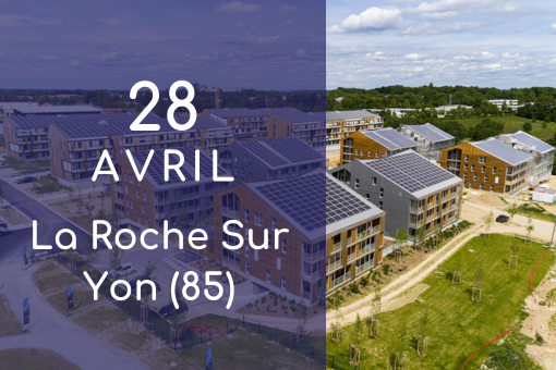 Agenda (510 × 340 px)(80)