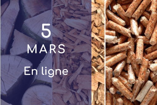 Agenda (510 × 340 px)(90)